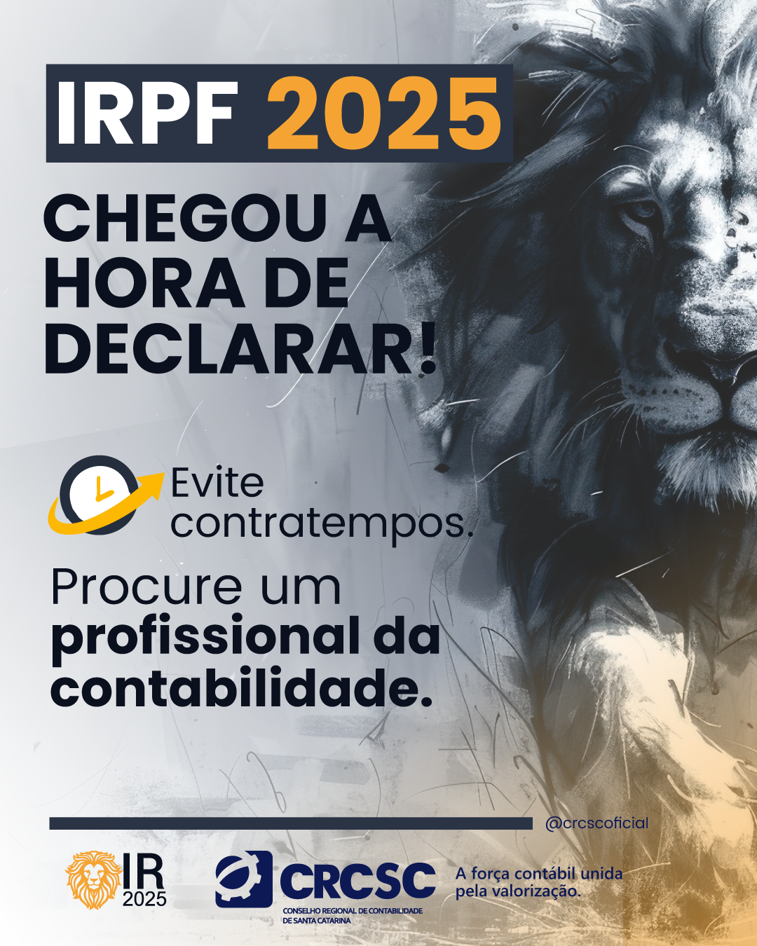 imposto-de-renda-2025-mudancas-prazos-e-a-importancia-dos-profissionais-da-contabilidade