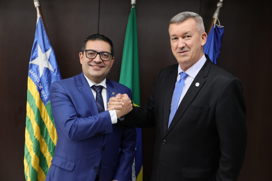 representantes-do-crcsc-participam-da-reuniao-de-presidentes-e-diretores-do-sistema-cfccrcs